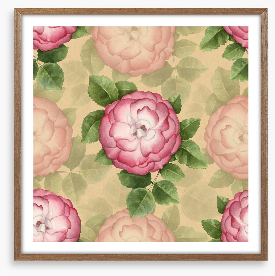 Vintage dog-rose