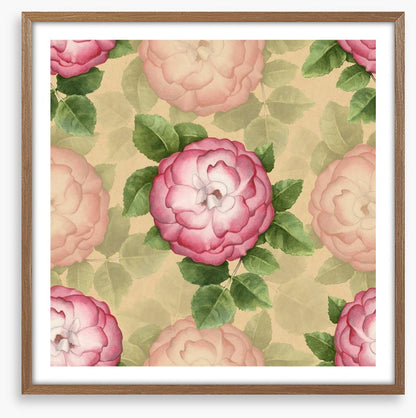 Vintage dog-rose