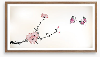 Butterfly blossom
