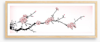 Pink blossom branch