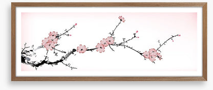 Pink blossom branch