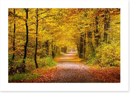 Golden forest