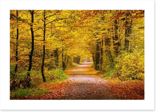 Golden forest