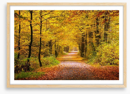 Golden forest