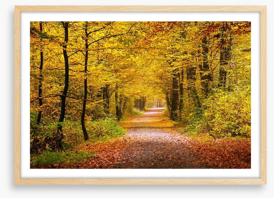 Golden forest