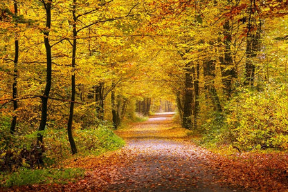 Golden forest