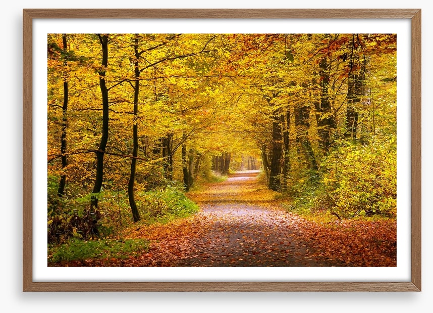 Golden forest