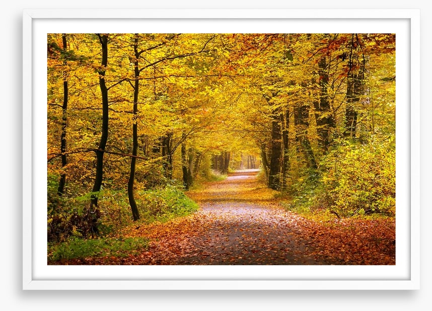 Golden forest
