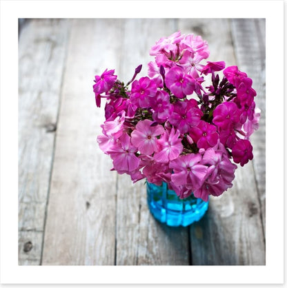 Pink flowers