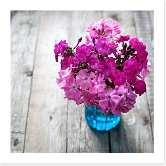 Pink flowers