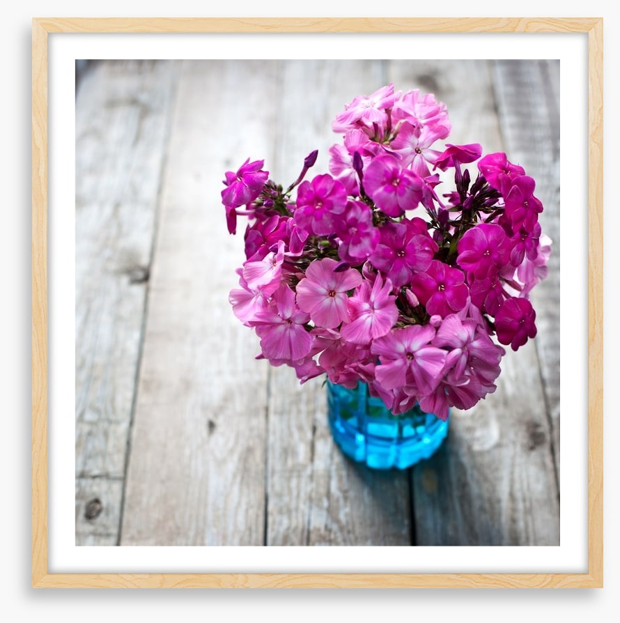 Pink flowers
