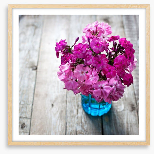 Pink flowers