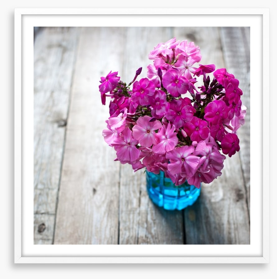 Pink flowers