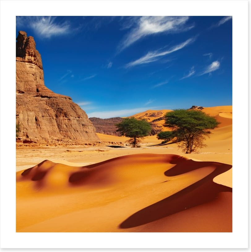 Desert