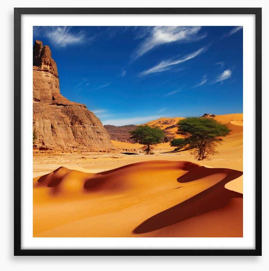 Desert