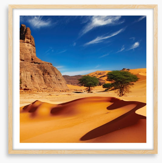 Desert