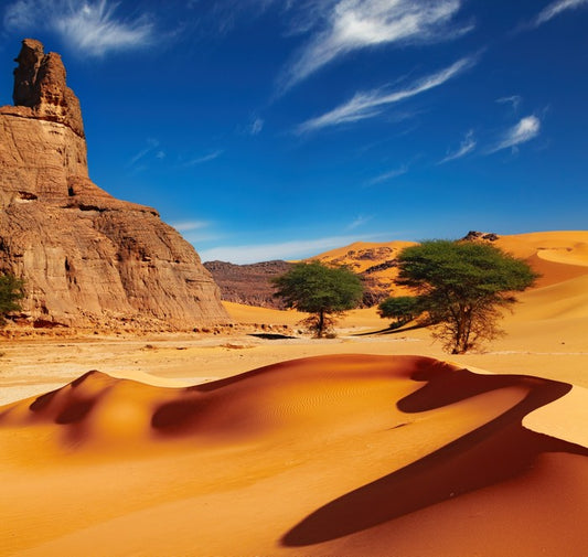 Desert