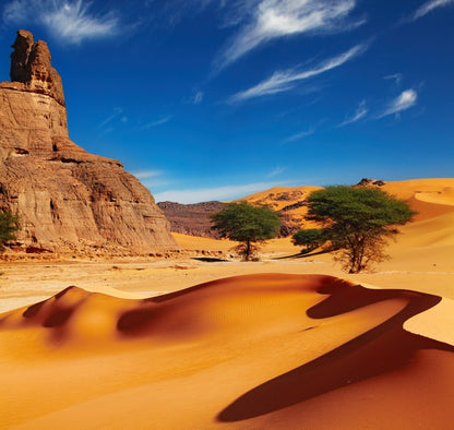 Desert