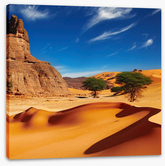 Desert