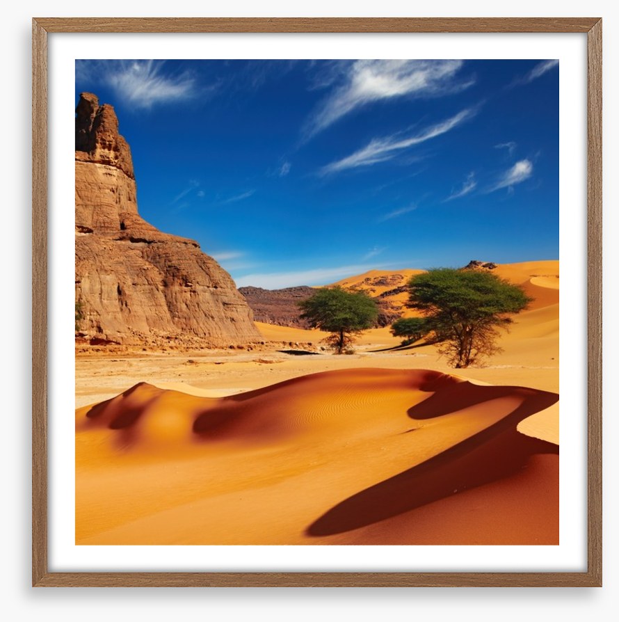 Desert