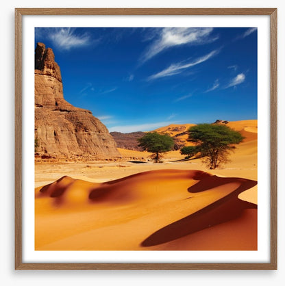Desert