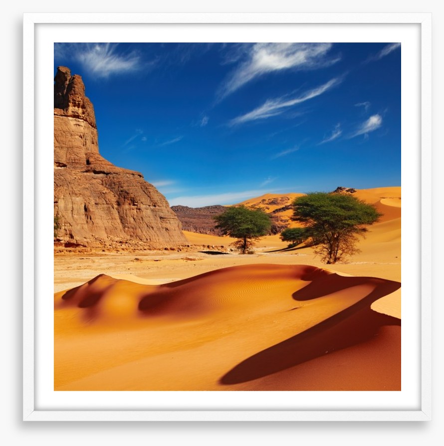Desert
