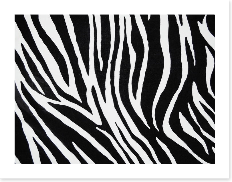 Animal Print