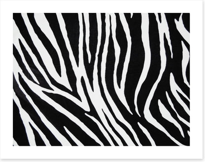 Animal Print