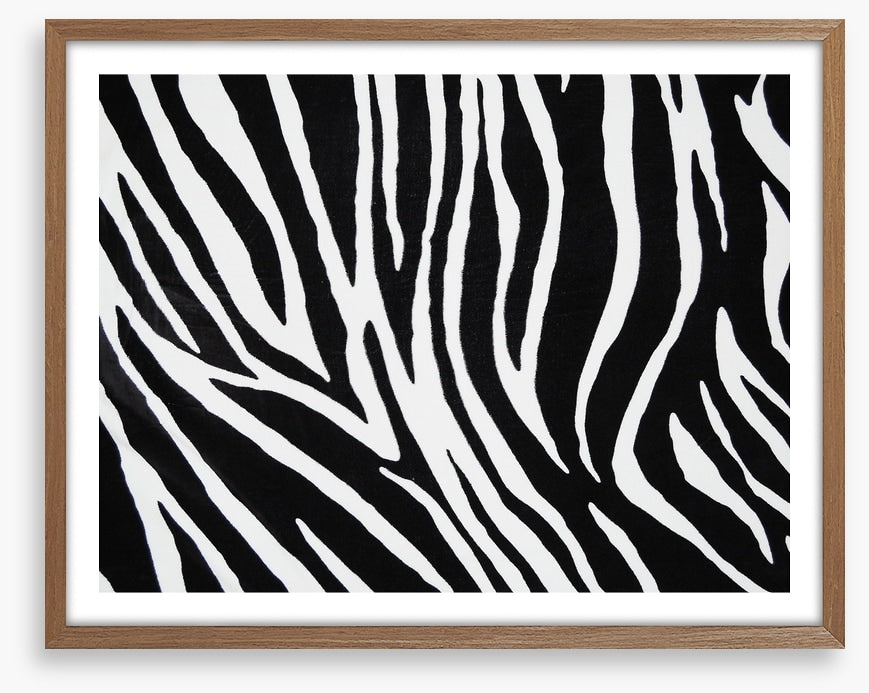 Animal Print