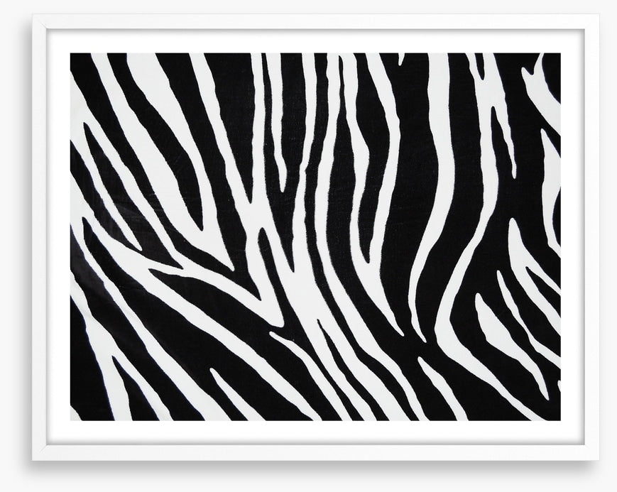 Animal Print