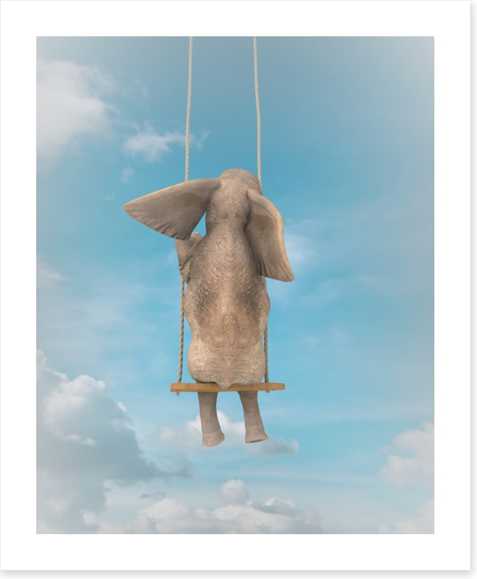 Elephant on the swing