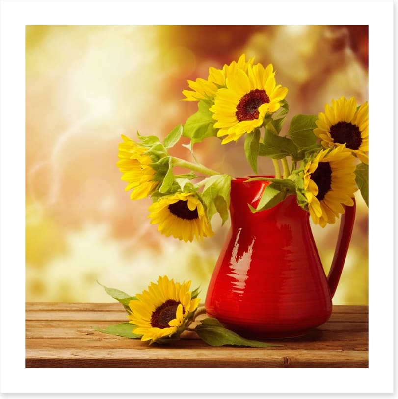 Red jug sunflowers
