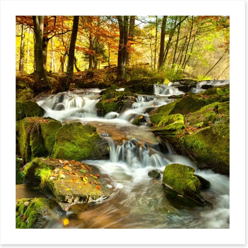 Autumn flows