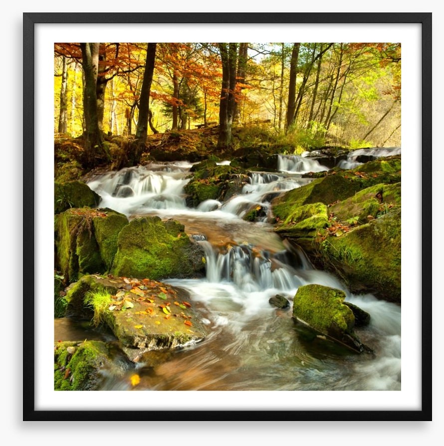 Autumn flows