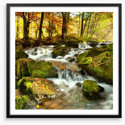 Autumn flows
