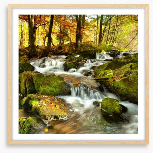 Autumn flows