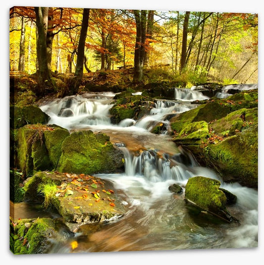 Autumn flows