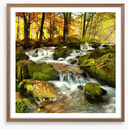 Autumn flows