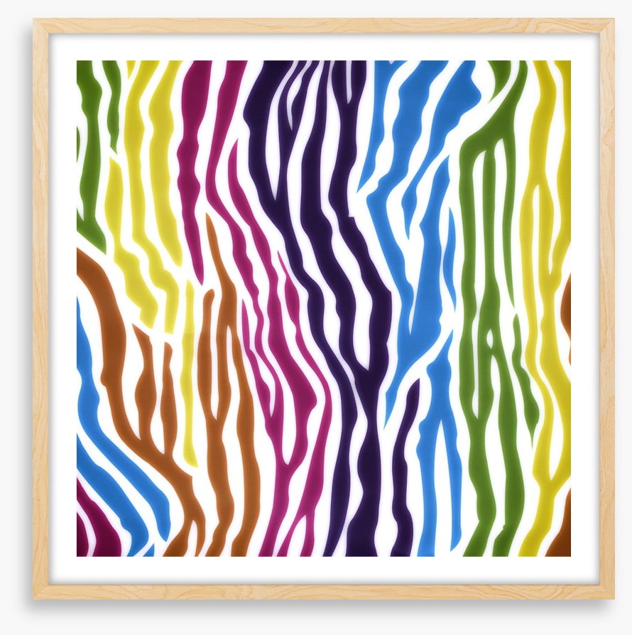 Animal Print