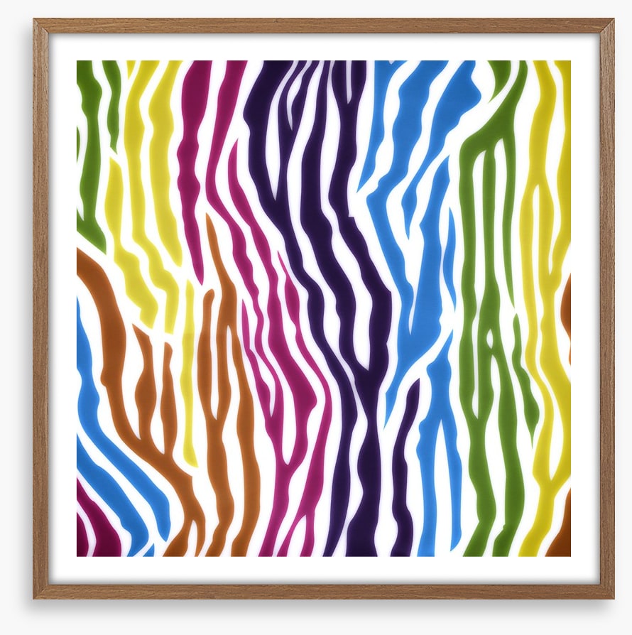Animal Print