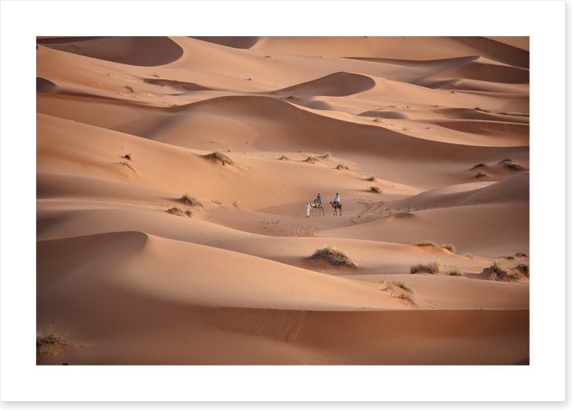 Desert