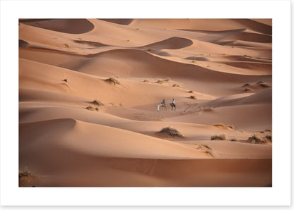 Desert