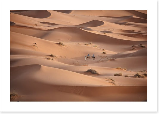 Desert