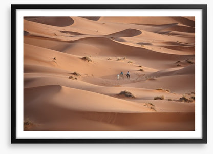 Desert