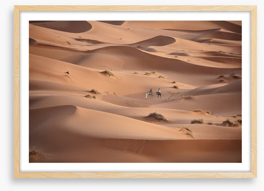 Desert