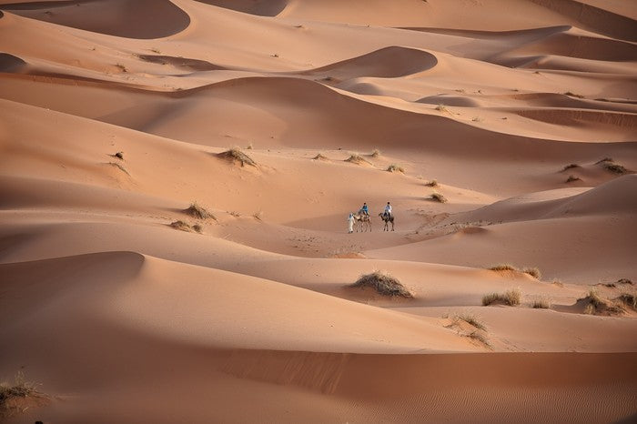 Desert