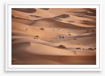Desert