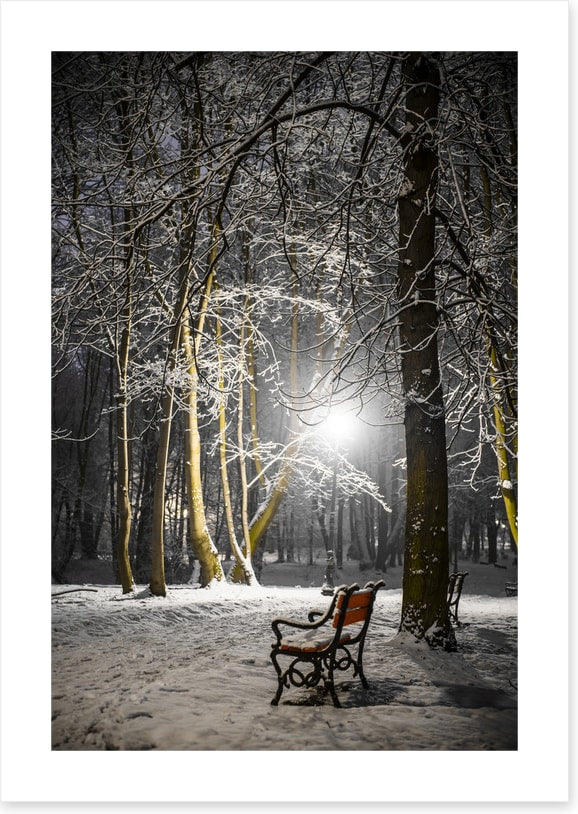 Alone in the midnight snow