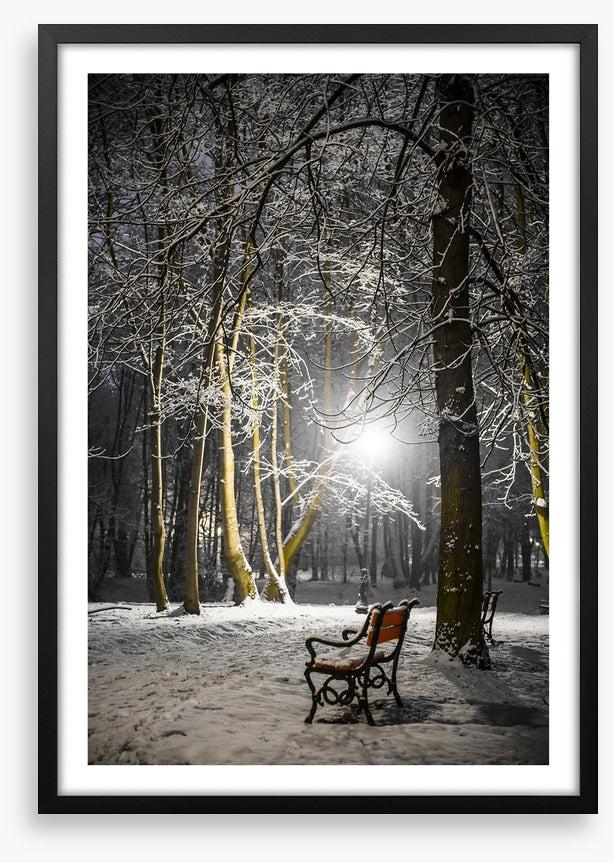 Alone in the midnight snow