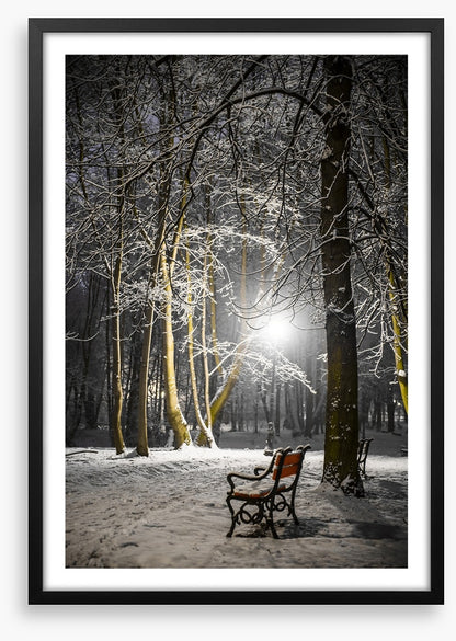 Alone in the midnight snow